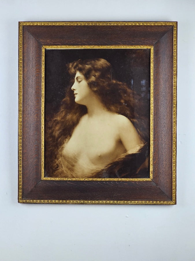 Braun Clement