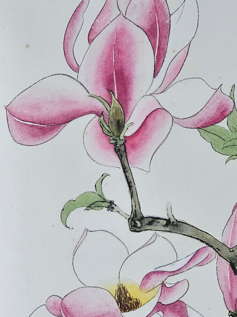 Painting of a Magnolia