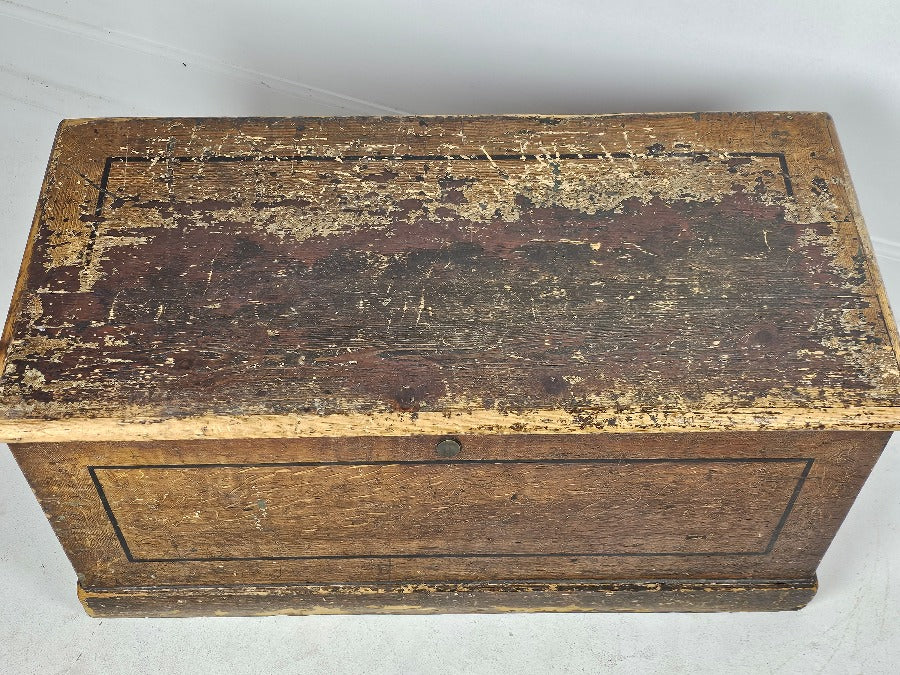 Antique Pine Painted Storage Box - Blanket box - Kist