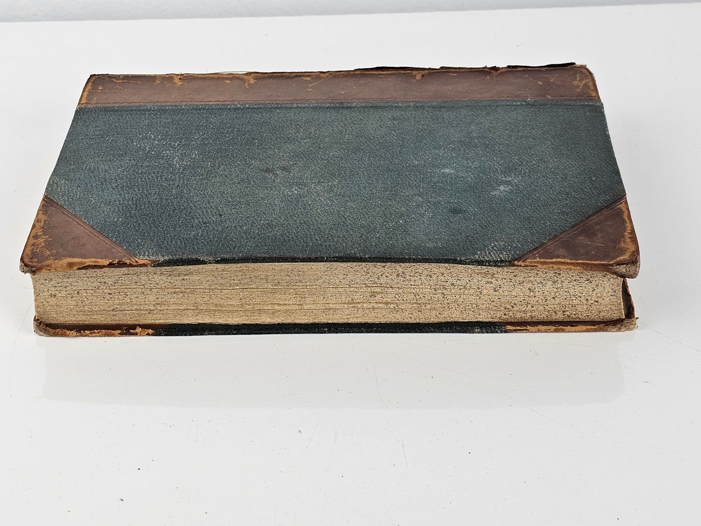 British Sea Anemones - Antique book
