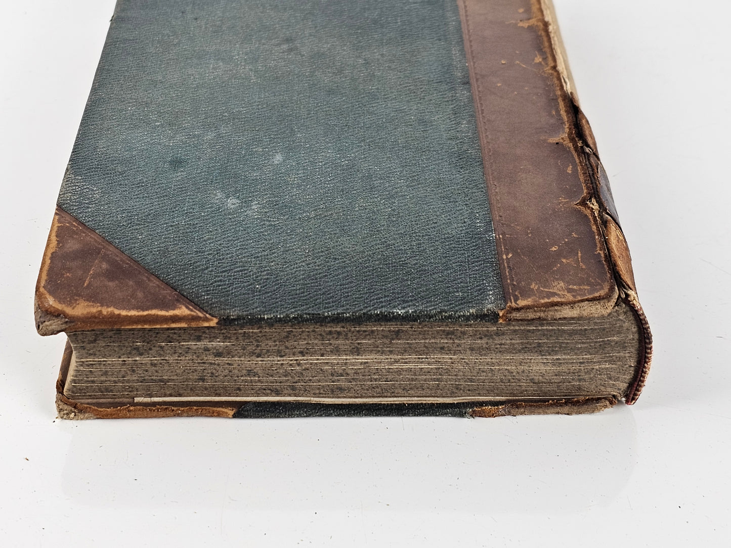 British Sea Anemones - Antique book
