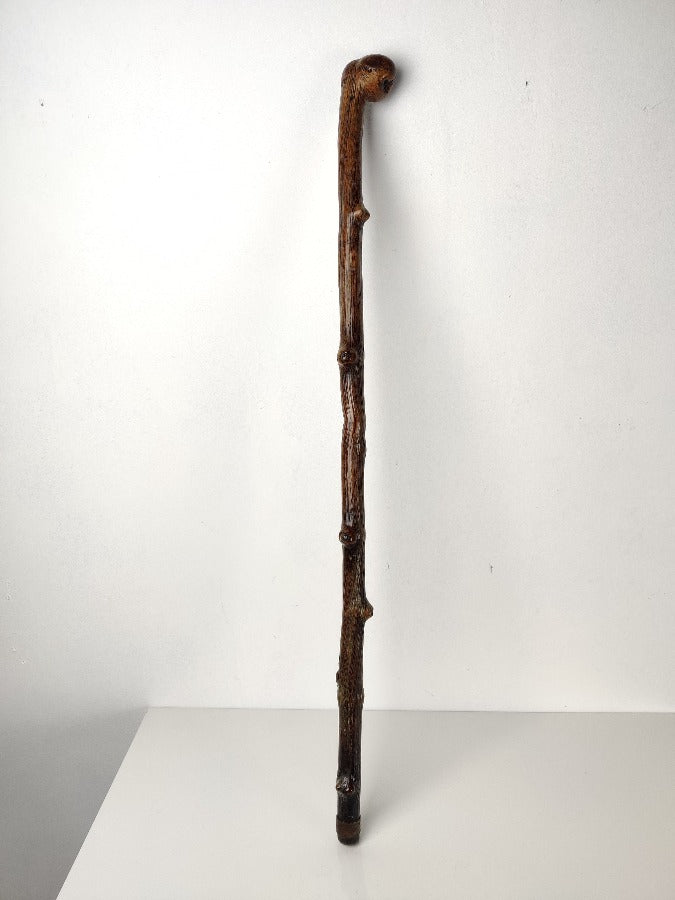 19th century knobbly walking stick