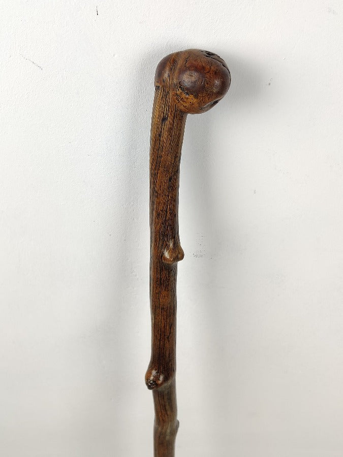 knobbly walking stick