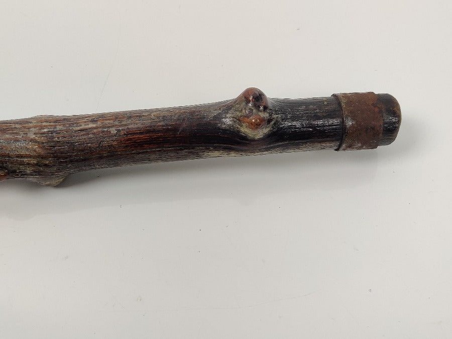 19th Century Walking Stick