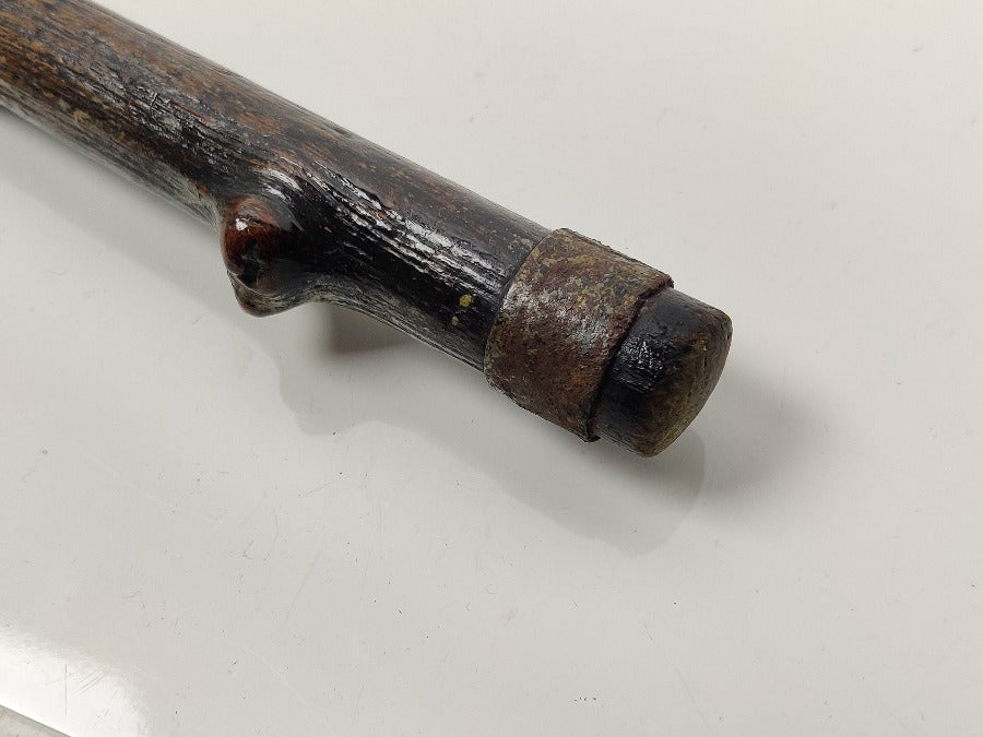 19th Century Walking Stick