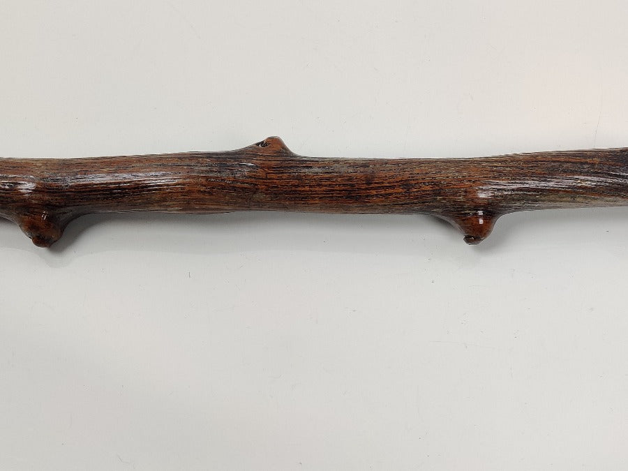 19th Century Walking Stick