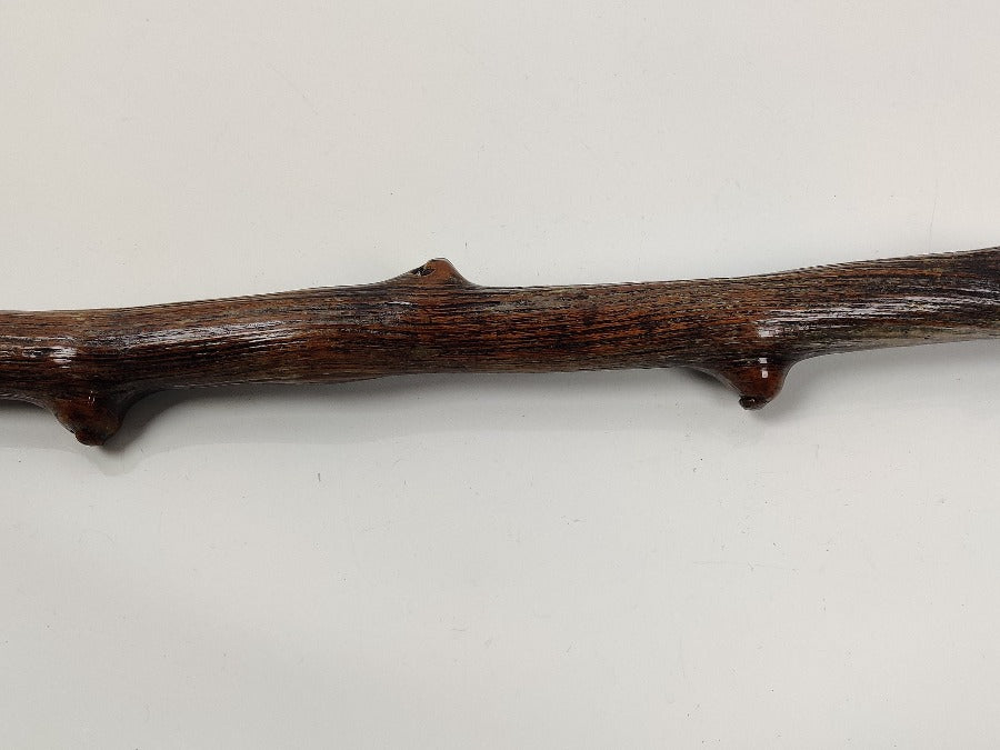 19th Century Walking Stick
