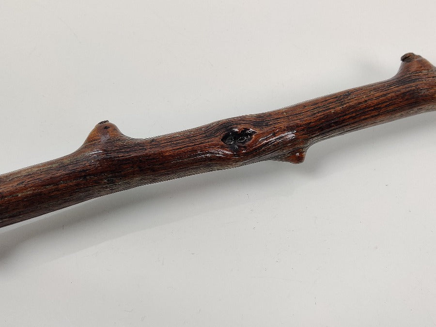 19th Century Walking Stick