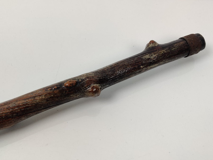 19th Century Walking Stick