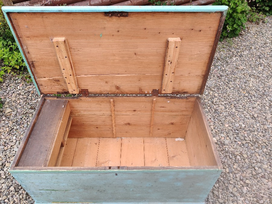 pine painted trunk