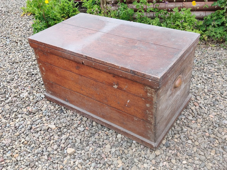 Vintage Pine Trunk