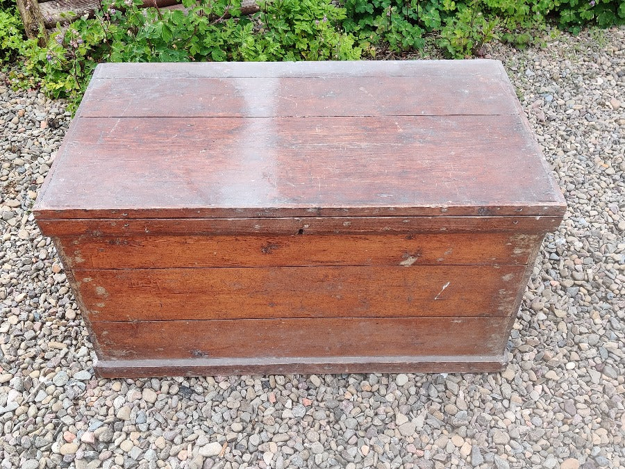 Vintage Pine Trunk