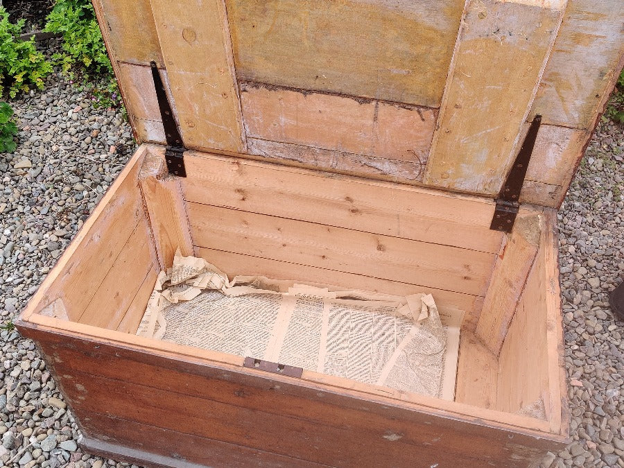 Vintage Pine Trunk