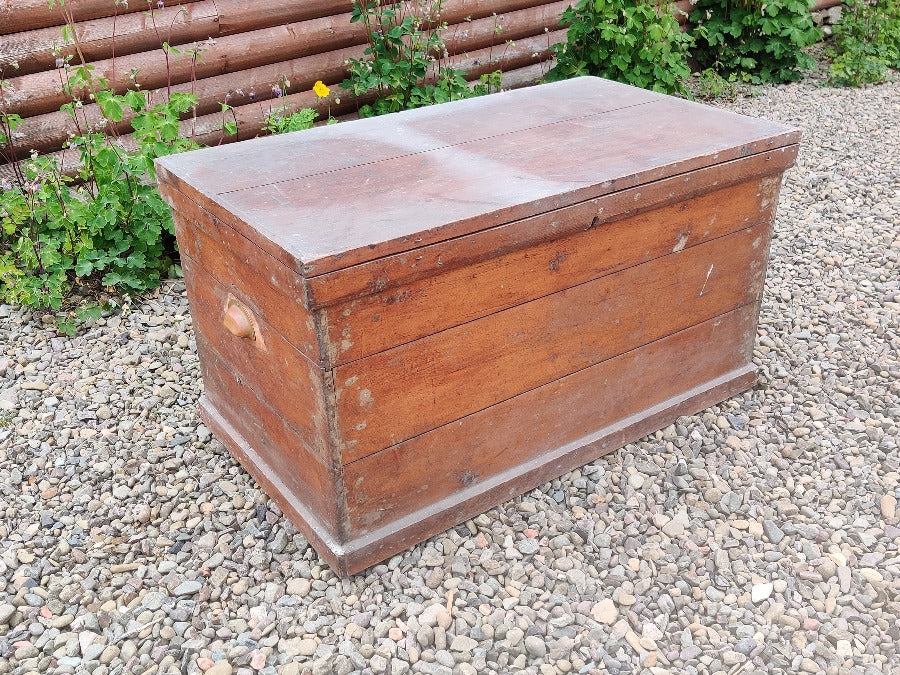 Vintage Pine Trunk