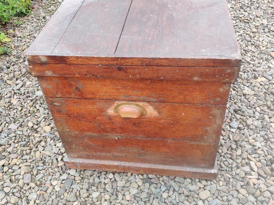 Vintage Pine Trunk