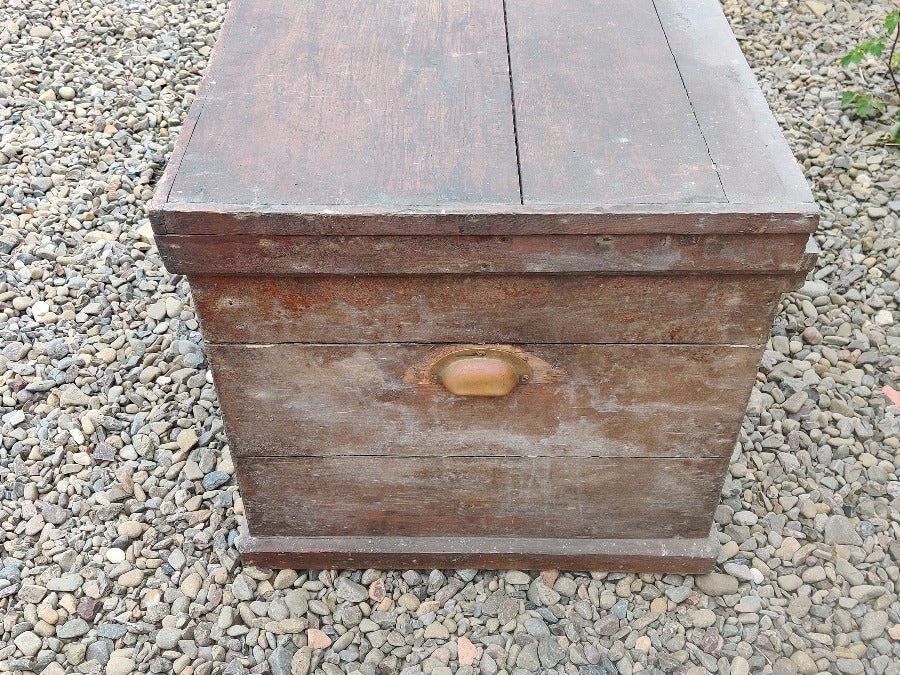 Vintage Pine Trunk