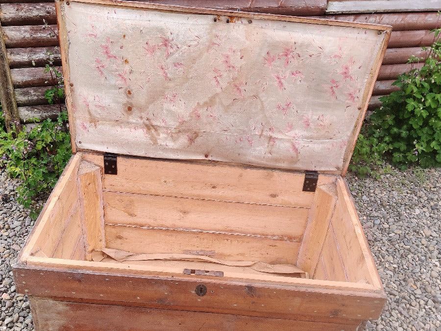 Pine Trunk/Chest/Kist