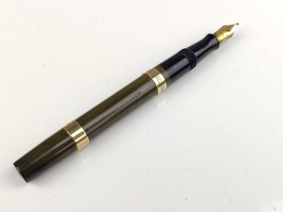 Vintage Fountain Pen