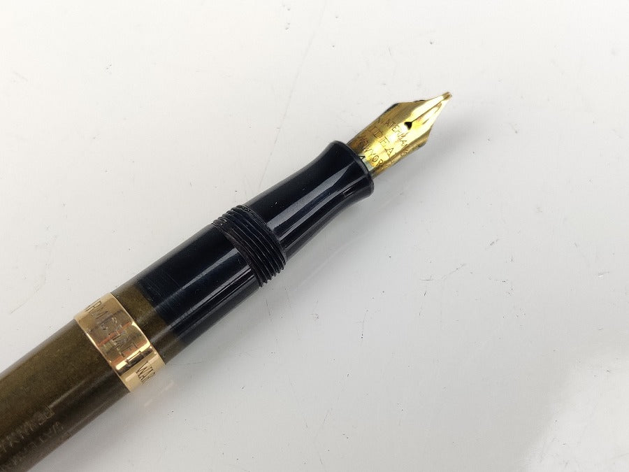 Vintage Fountain Pen