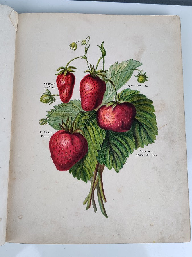 Fruit Growers Guide - J Wright