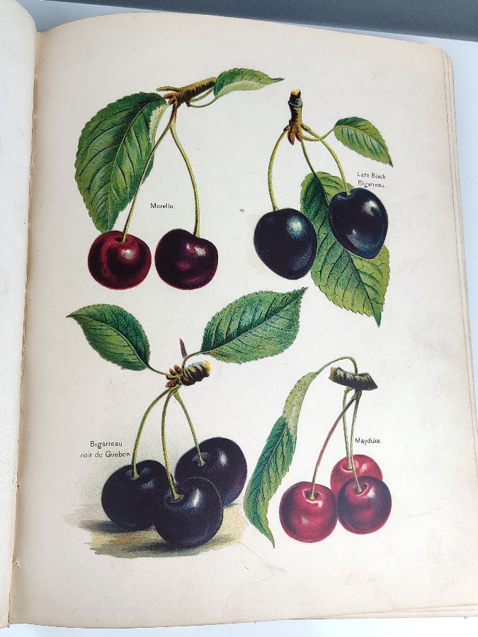 Fruit Growers Guide - J Wright