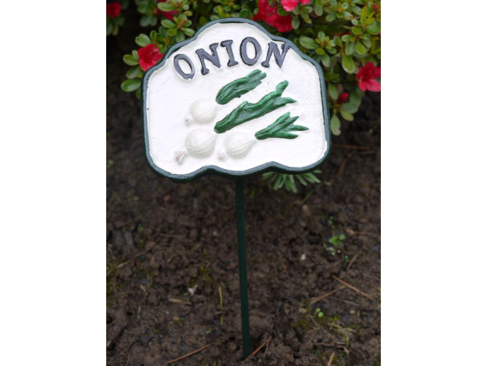 Onion vegetable labels