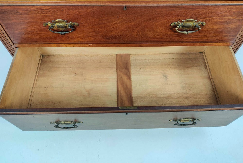 Vintage Bookcase on Chest