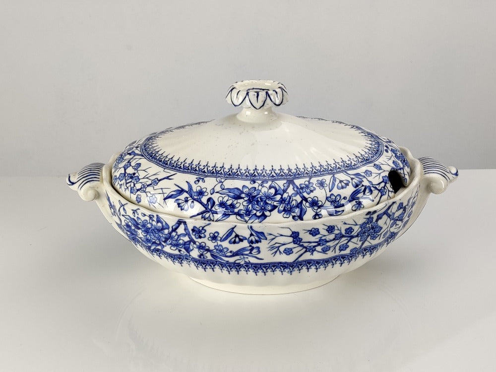 Blue & White Tureen