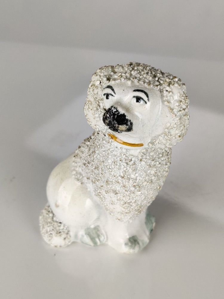 Miniature Poodle Staffordshire Dog