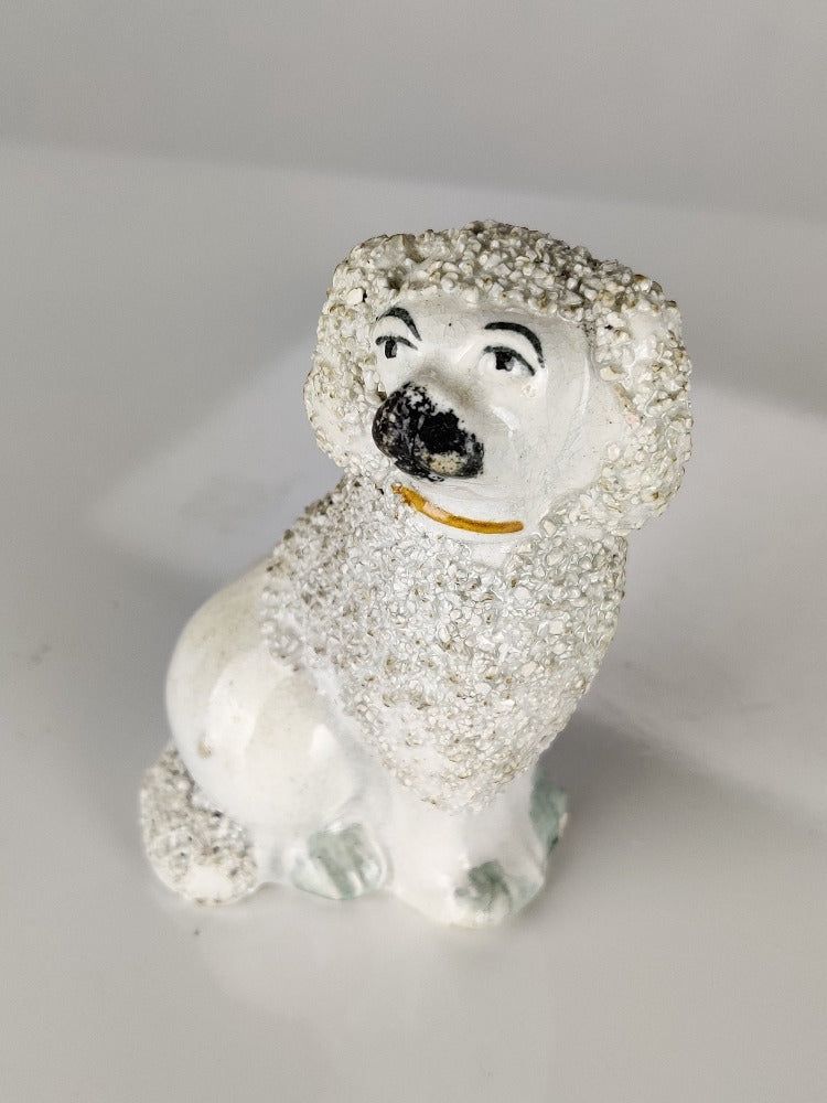 Miniature Poodle Staffordshire Dog
