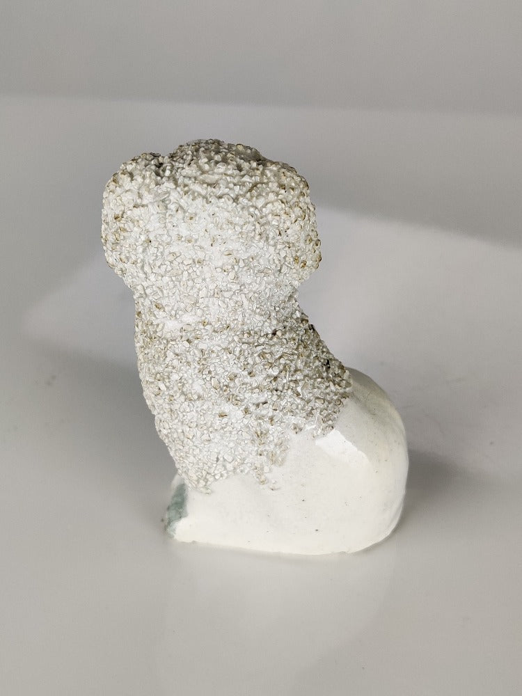 Miniature Poodle Staffordshire Dog