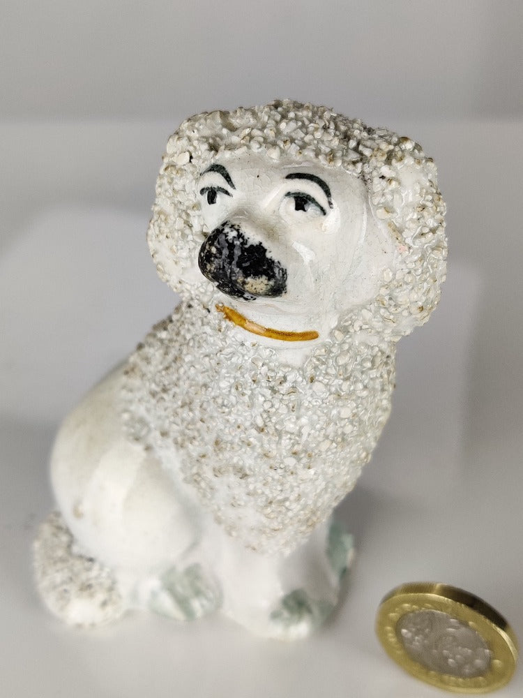 Miniature Poodle Staffordshire Dog