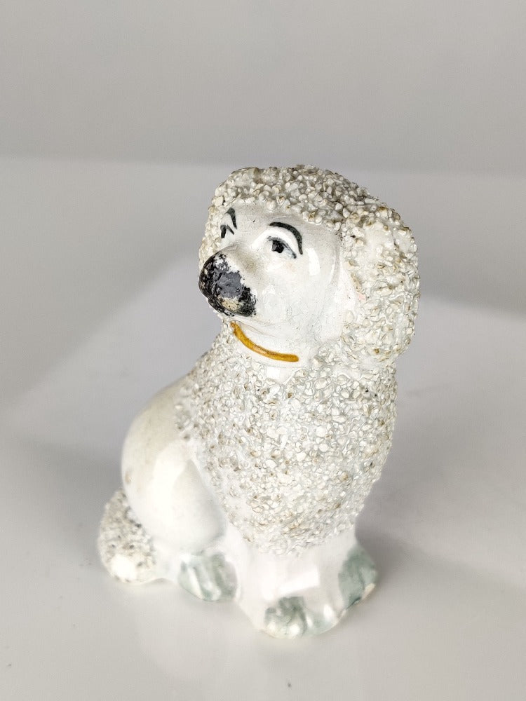 Miniature Poodle Staffordshire Dog