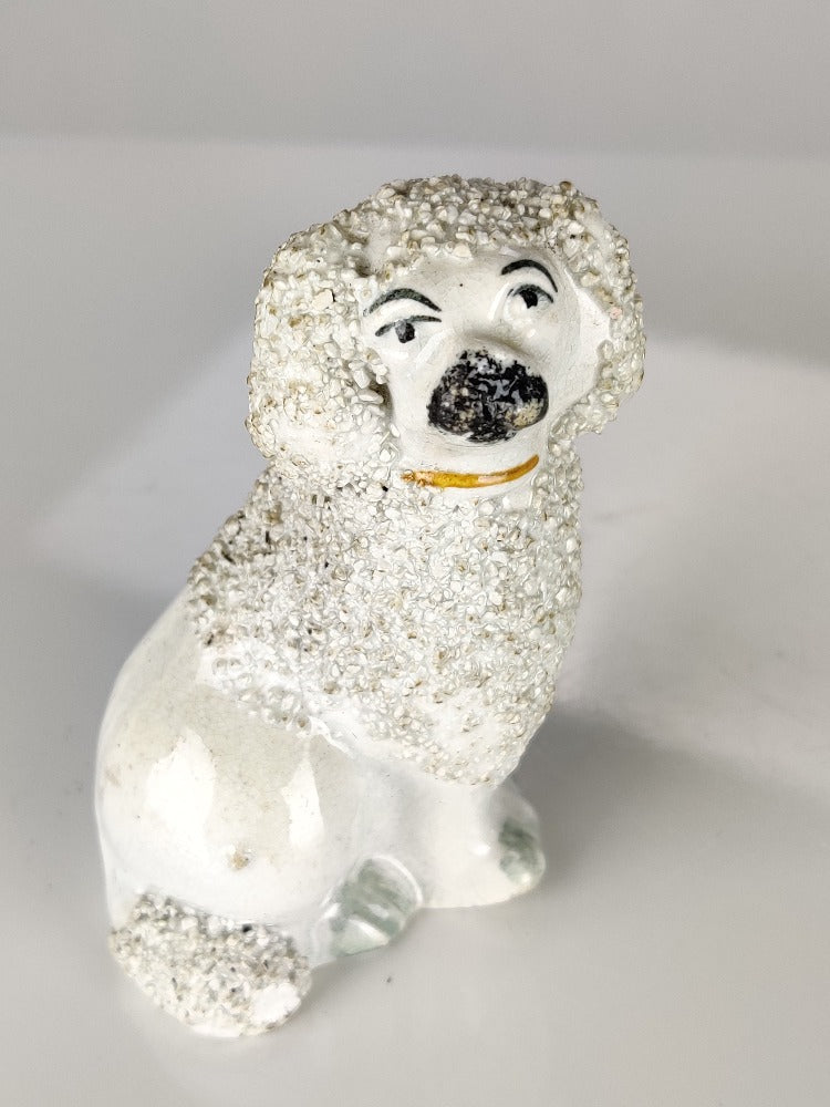 Miniature Poodle Staffordshire Dog