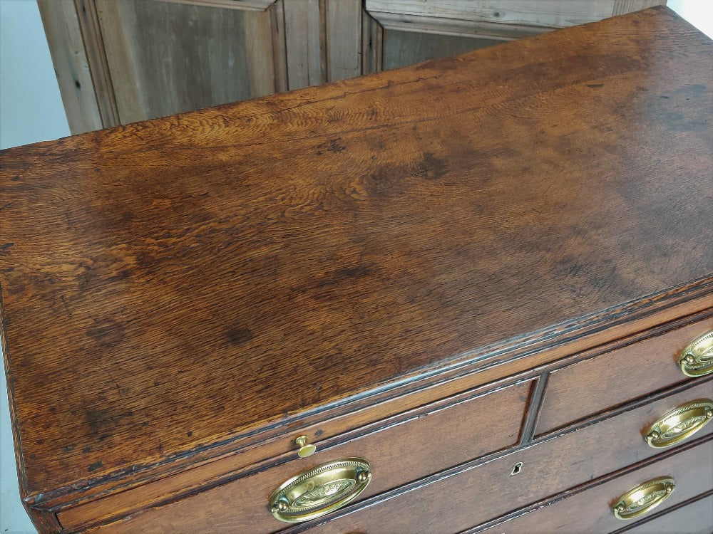 Oak Chest of Drawers
