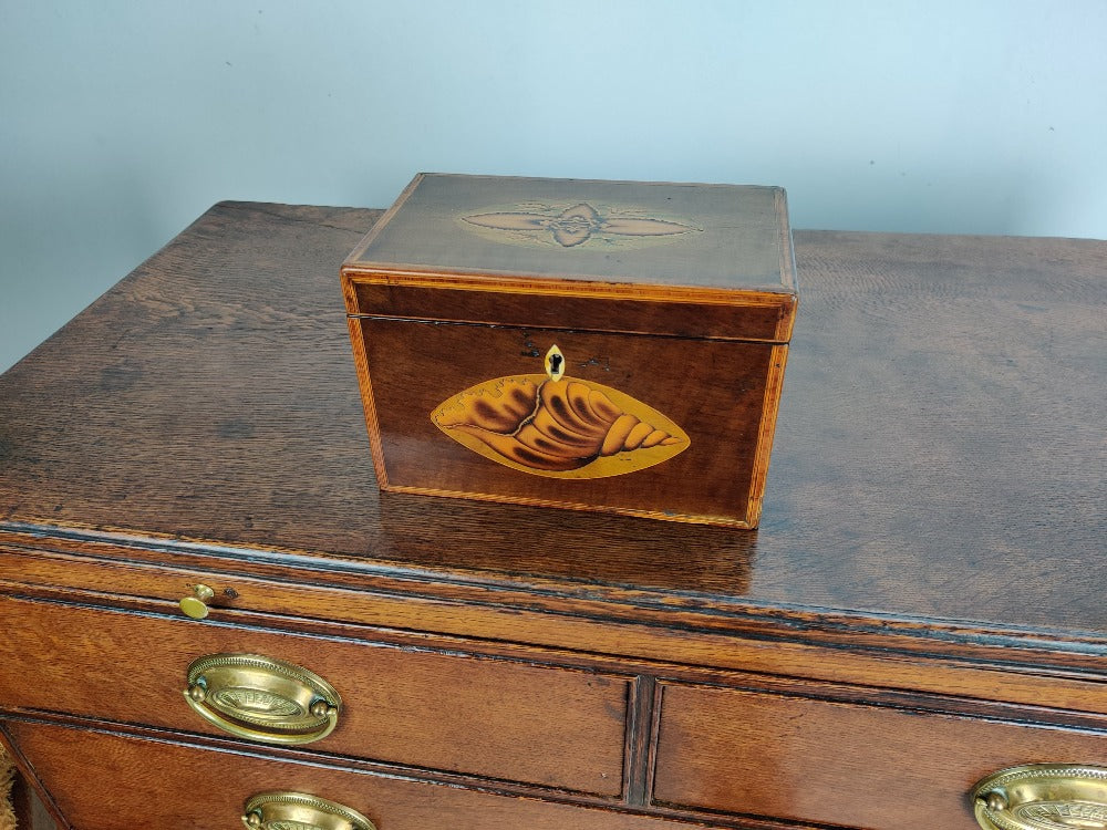 Vintage tea caddy
