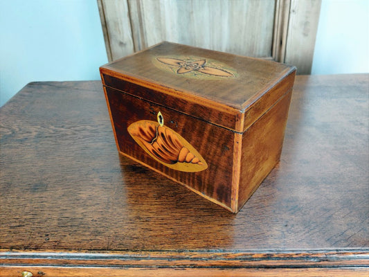 Antique Tea Caddy