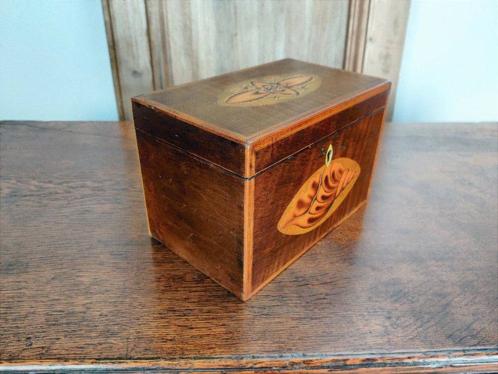 Tea Caddy