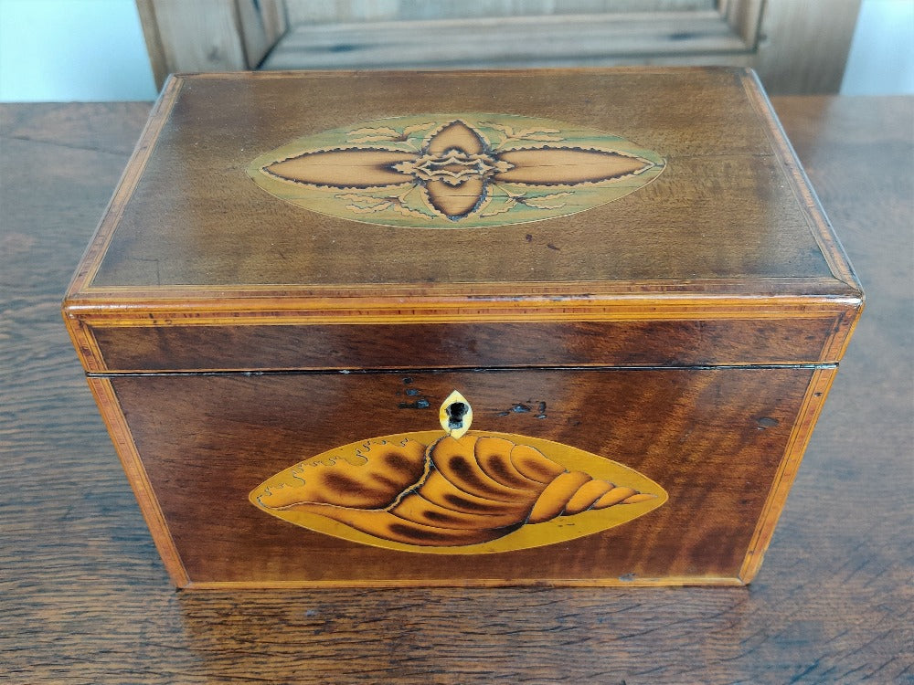 storage boxes
