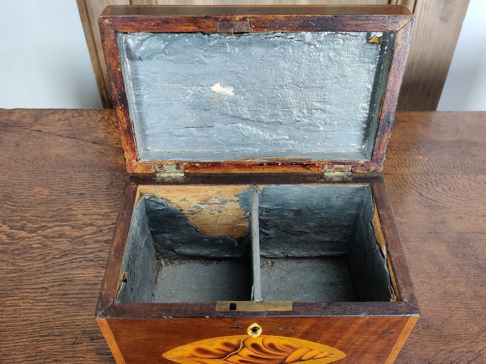 antique tea caddy