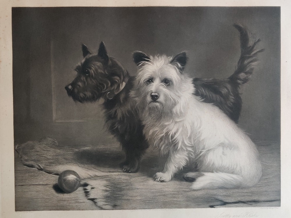 Margaret Collyer Highland Terriers