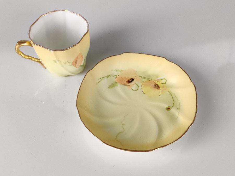 Limoges Cup & Saucer