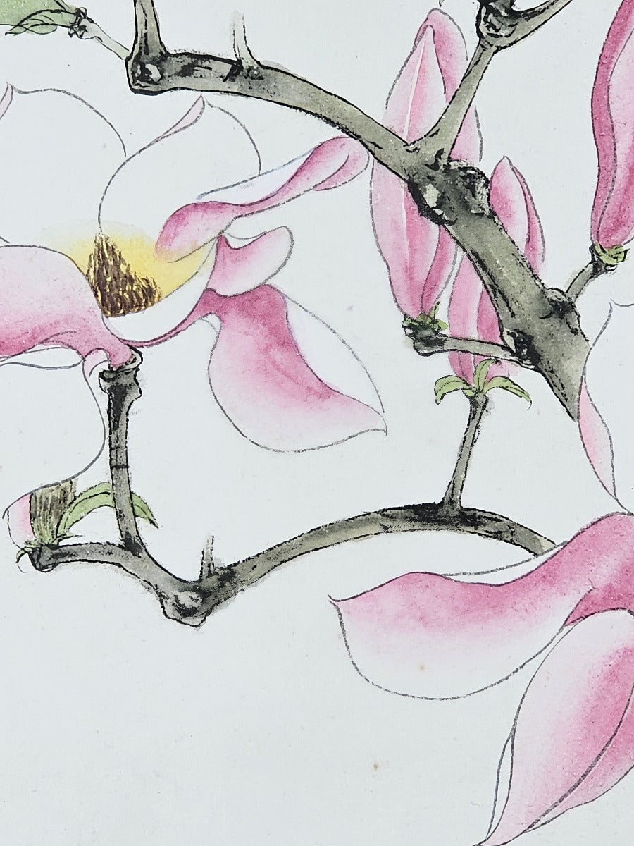 Painting of a Magnolia