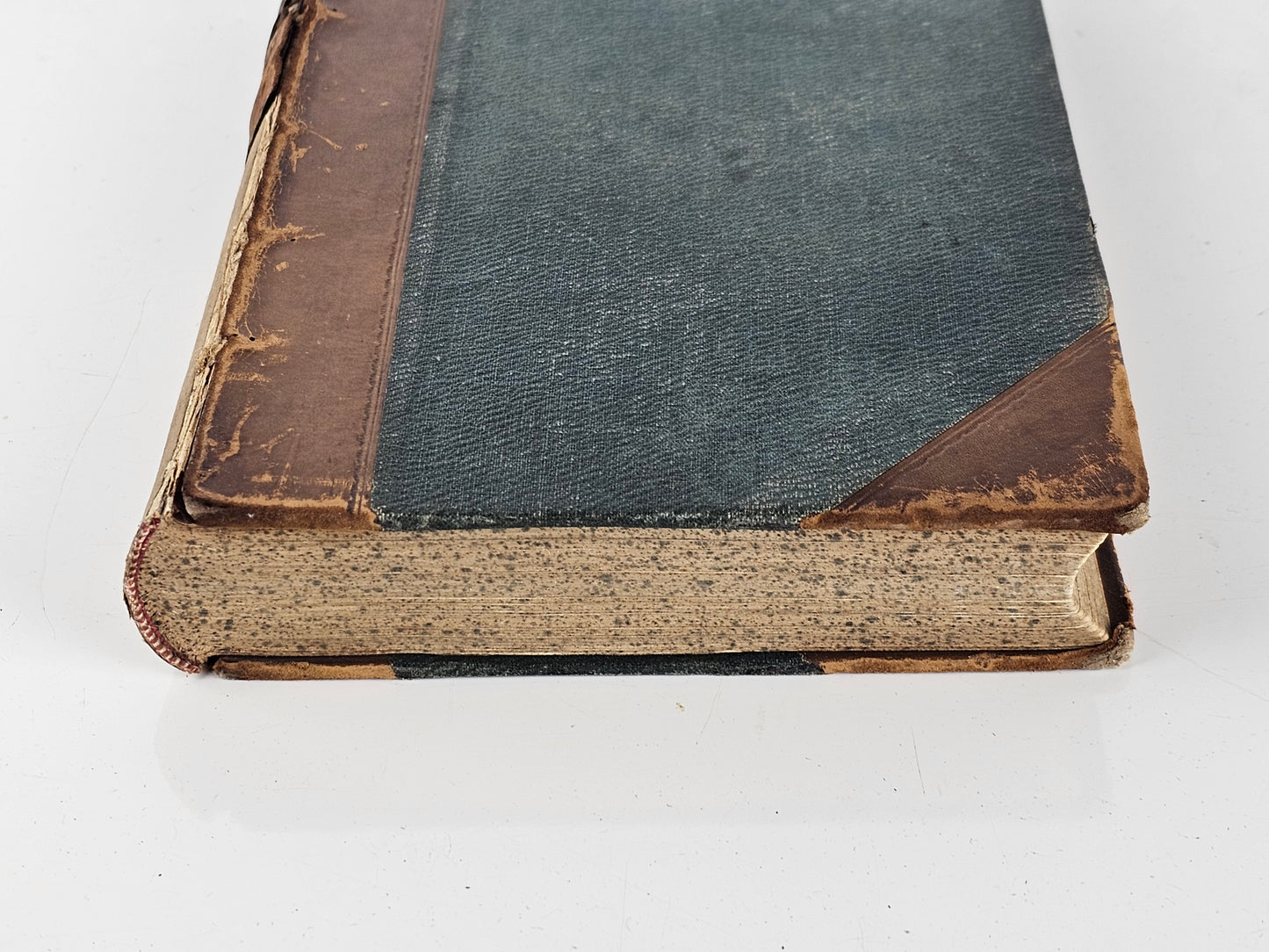 British Sea Anemones - Antique book