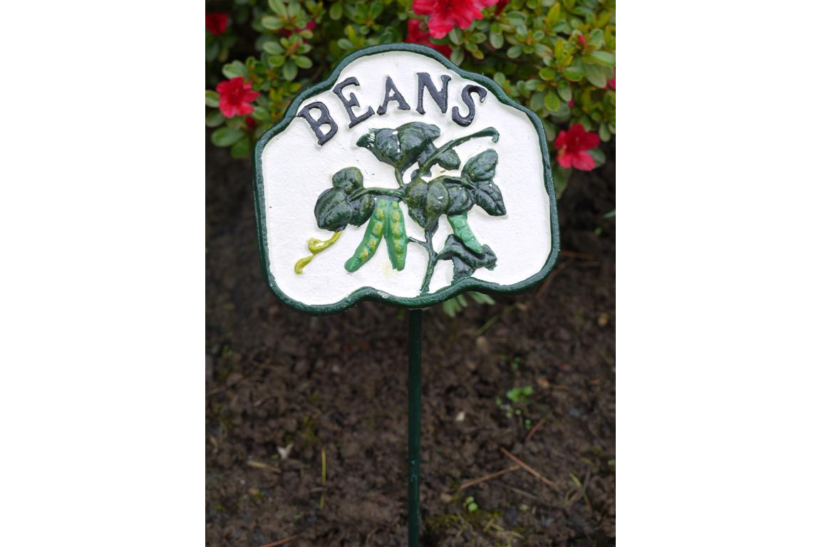 Beans vegetable marker
