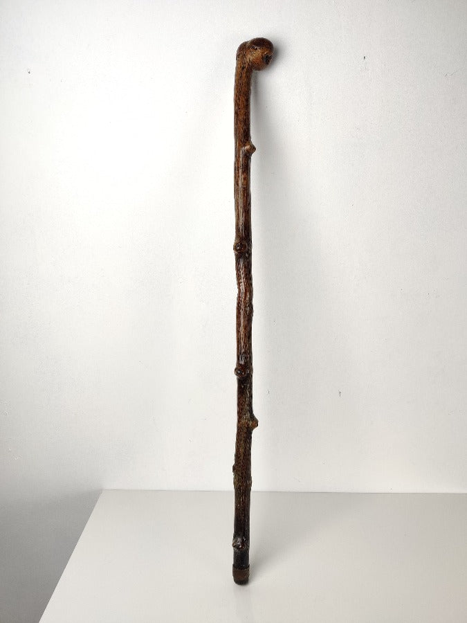 19th century knobbly walking stick