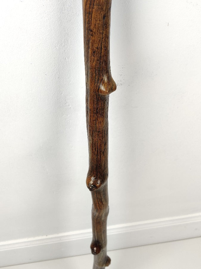 19th Century Walking Stick