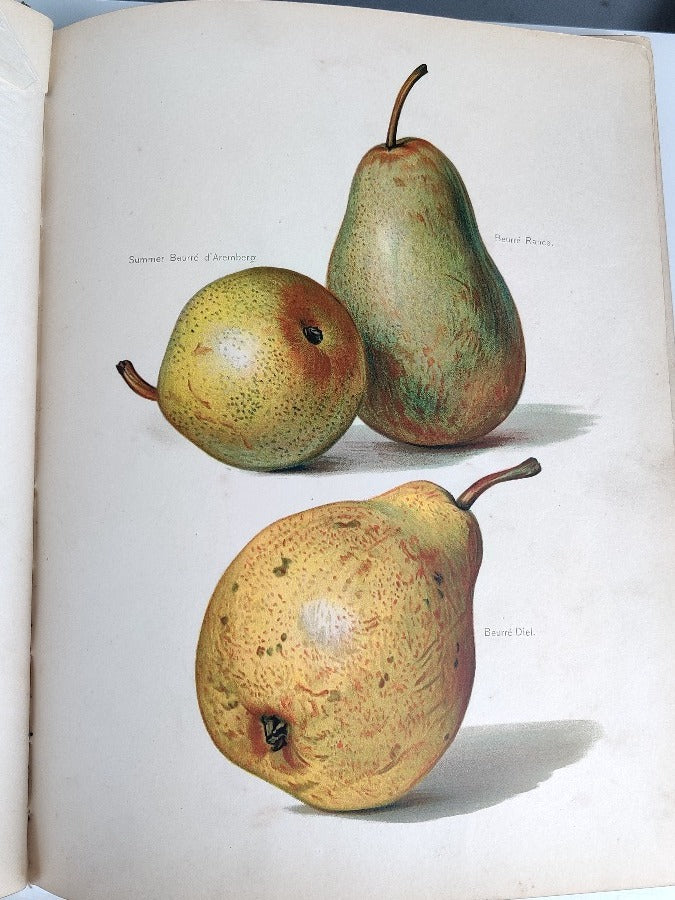 Fruit Growers Guide - J Wright