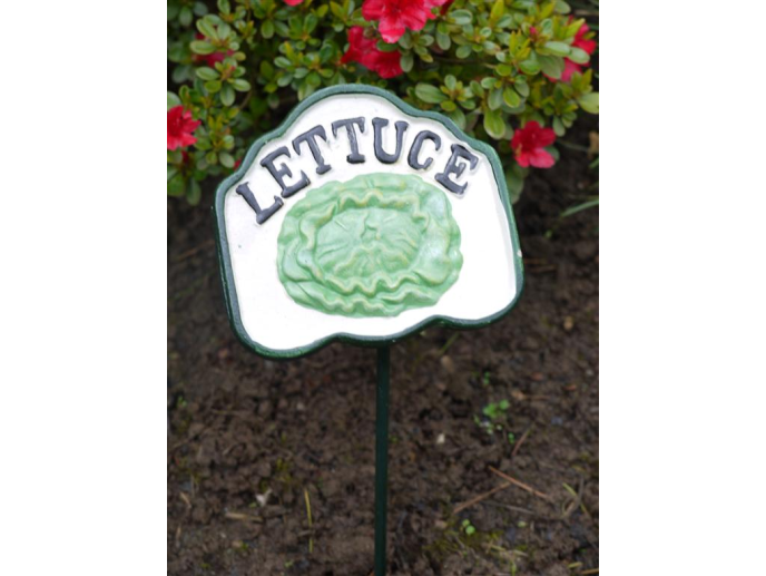 Lettuce vegetable labels