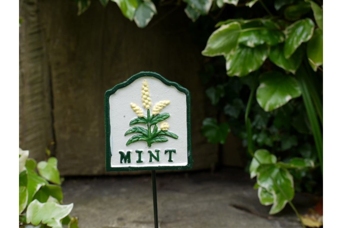 Mint herb marker